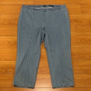 J. Jill Ankle-Length Gray Jeans